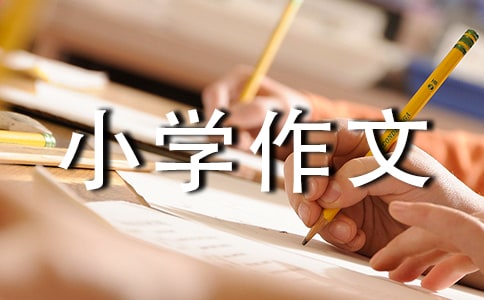 我的弟弟小学作文集合15篇