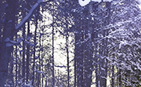 Сѩʫ�ʣ���ѡ98�ף�