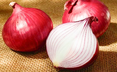 [��ѡ]���������15ƪ