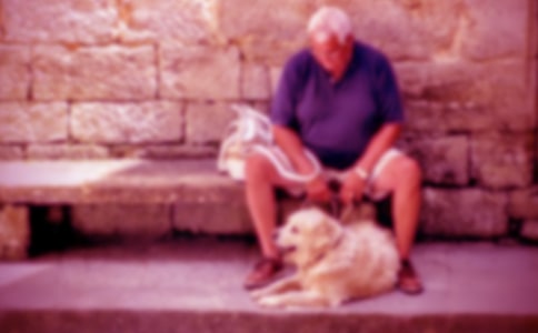 үү�ҵĲ�԰����