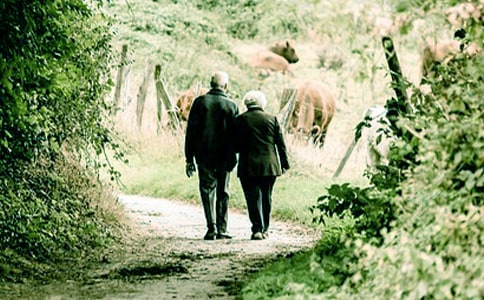 ����үү������ʮƪ