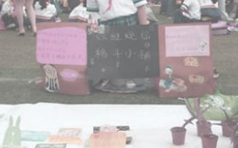 ��������Сѧ����15ƪ