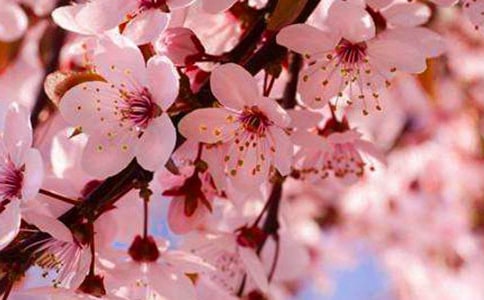 ��дӣ�����������ӣ�ͨ��620�䣩