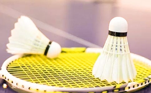 学习羽毛球的心得体会(通用24篇)