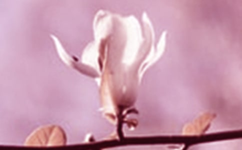 ��д������������