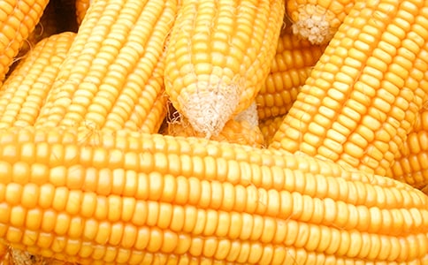 �۲������ռ�