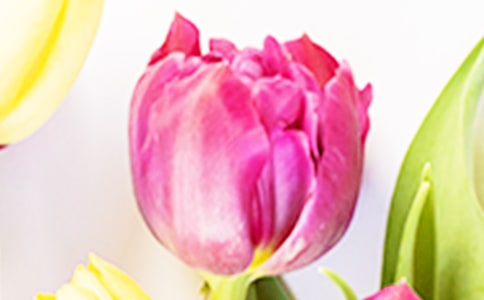 ������۲��¼�ռ�