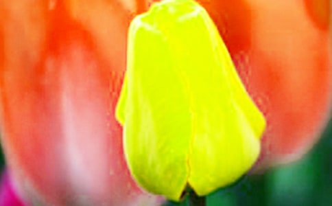 ����������(���15ƪ)