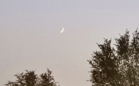 ����������������Ӷ����