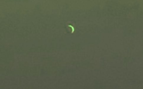 ���������Ĺ�ʫ������