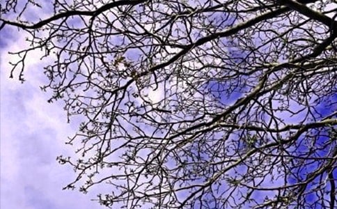 ���˵��簲΢���ʺ���23��