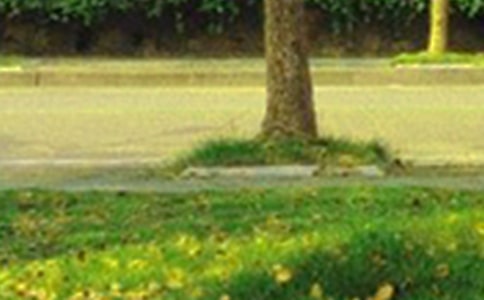 【精华】美好的早安微信祝福语合集65条