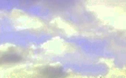 2025���̵��簲QQ�ʺ���ժ¼51��