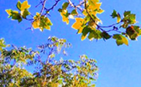 2026年通用适合给朋友的早安问候语语录23句