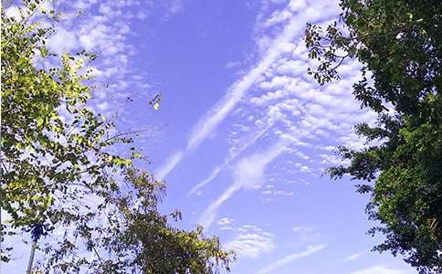 2026����ů���簲΢���ʺ���41��