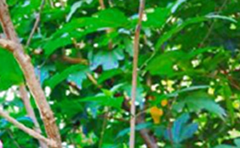 有关温暖的早安QQ问候语摘录49句