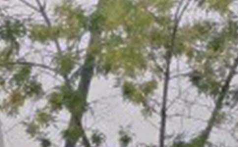 有关每日一签早安心语朋友圈26句