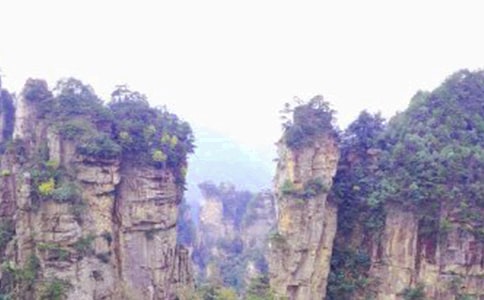 �żҽ��μ�(��Ʒ15ƪ)