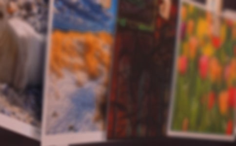 һ����Ƭ���ľ��䡾15ƪ��