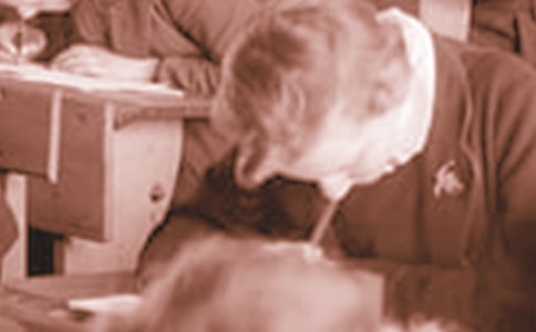 ����ѧ����ĩ�ܽᣨ��ѡ13ƪ��