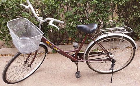 �ҵ����ֺ�Ϸ�����г����ľ���15ƪ