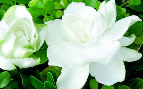 ���ӻ����ģ���ѡ82ƪ��