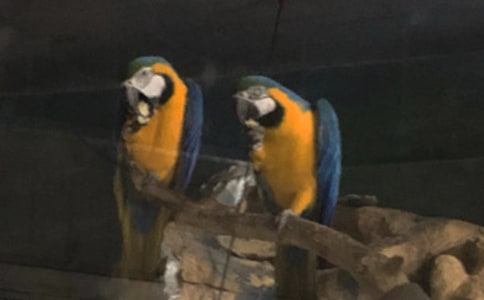 ���������硤��򡷡����������Ķ���ϰ����