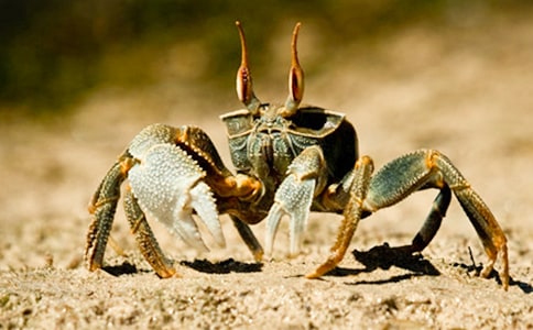 �з�۲��ռǻ����ƪ