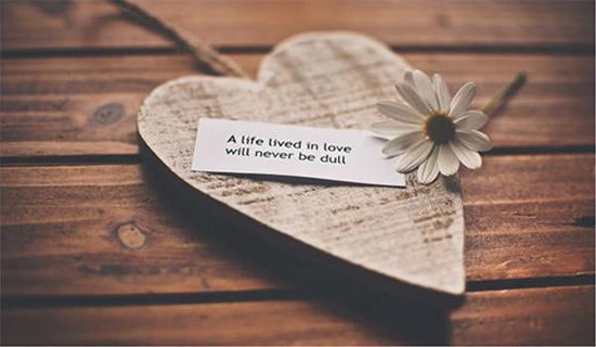 ��ʵ�á�����������¼36��