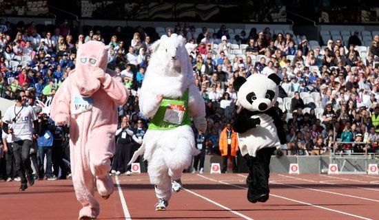 运动会广播稿范例(15篇)