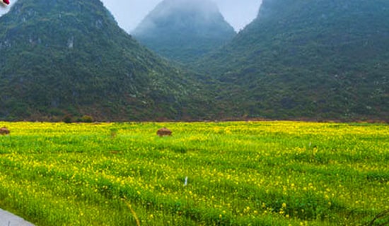 春游计划作文怎么写