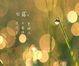白露祝福语 白露祝福语