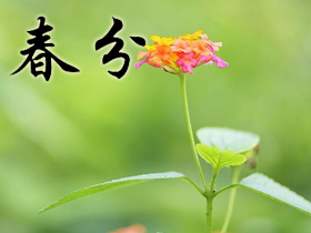 ����ף����