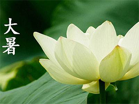 ����ף����