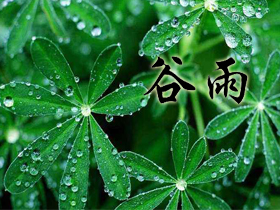 ����ף����