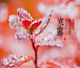 ��¶ף����