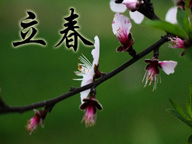 ����ף����