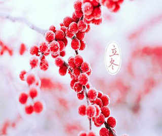 ����ף����