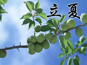 立夏祝福语 立夏祝福语