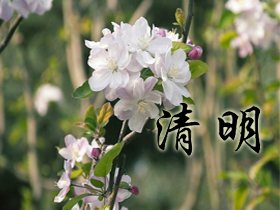 ����ף����