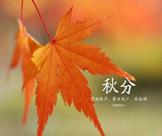 ���ף����