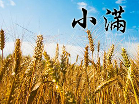 小满祝福语 小满祝福语