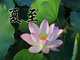 ����ף����