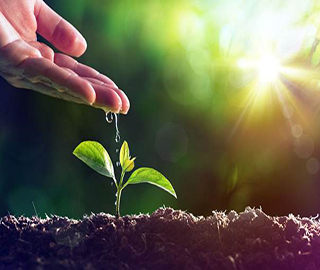 ֲ����ף����