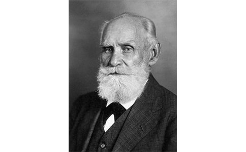 �˽̰����ġ��͸�����æ����ѧ���