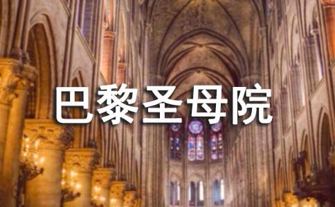 巴黎圣母院读后感700字(精选48篇)