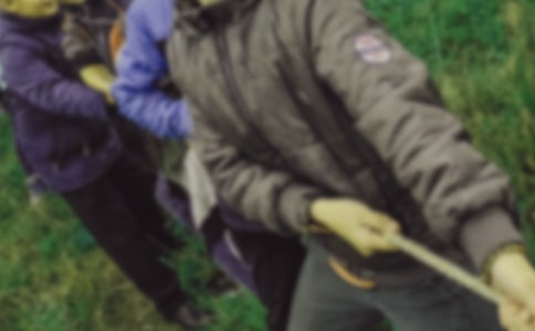 ��ѧ���κӱ����߻���15ƪ