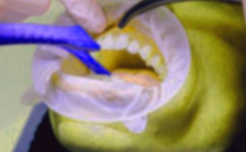 �ҵİ�������Сѧ����3ƪ