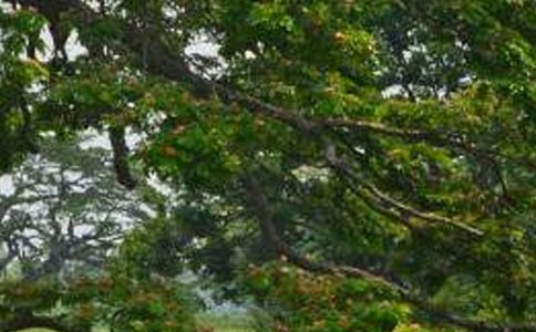 ���İ��������ѧ��Ʒ��ģ�ͨ��5ƪ��