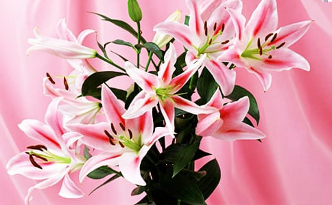 �ٺϻ���˵�θ�